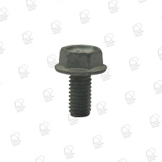 Cam Sensor Plug Bolt - Toyota 3RZ