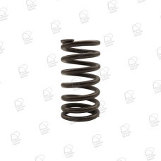 Valve Spring - Nissan TB48DE