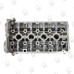 Cylinder Head - Holden F16D4