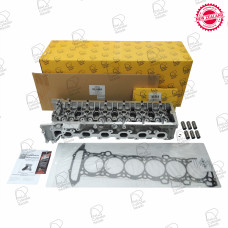 Cylinder Head Kit- Nissan TB48 
