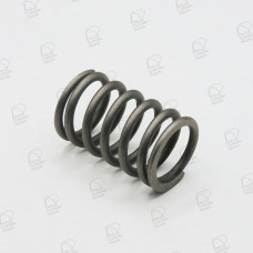 Mitsubishi Valve Spring
